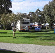 Pinjarra Caravan Park - Accommodation Gladstone