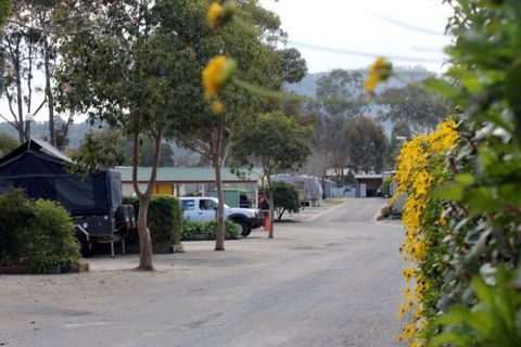 Albury All Seasons Tourist Park - Accommodation Gladstone 0