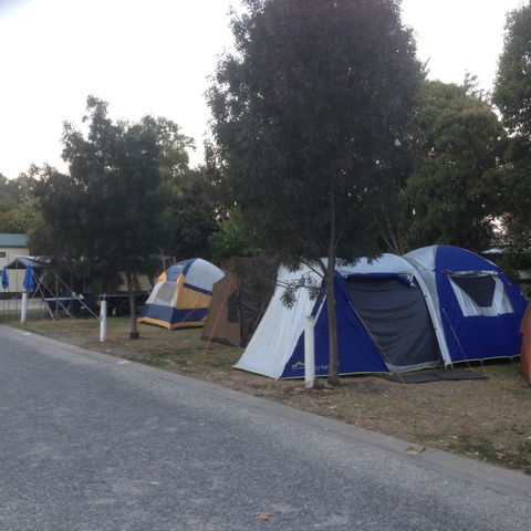 Albury All Seasons Tourist Park - Accommodation Gladstone 9