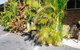 Bulahdelah Myall Motel - thumb 4