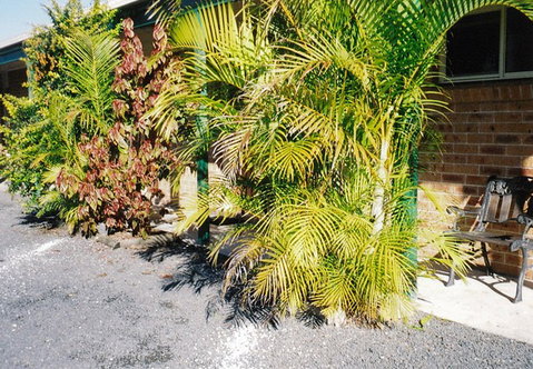 Bulahdelah Myall Motel - Accommodation Gladstone 4
