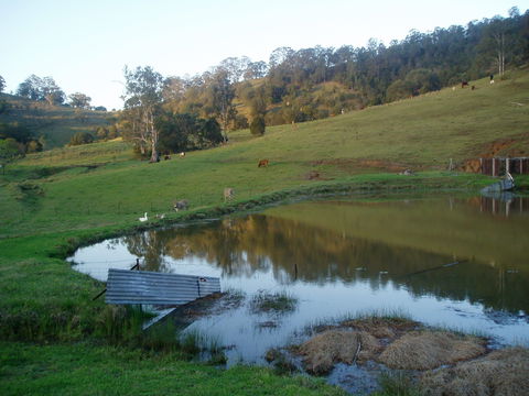 Barkeldine Farm Country Retreat - Accommodation Gladstone 0