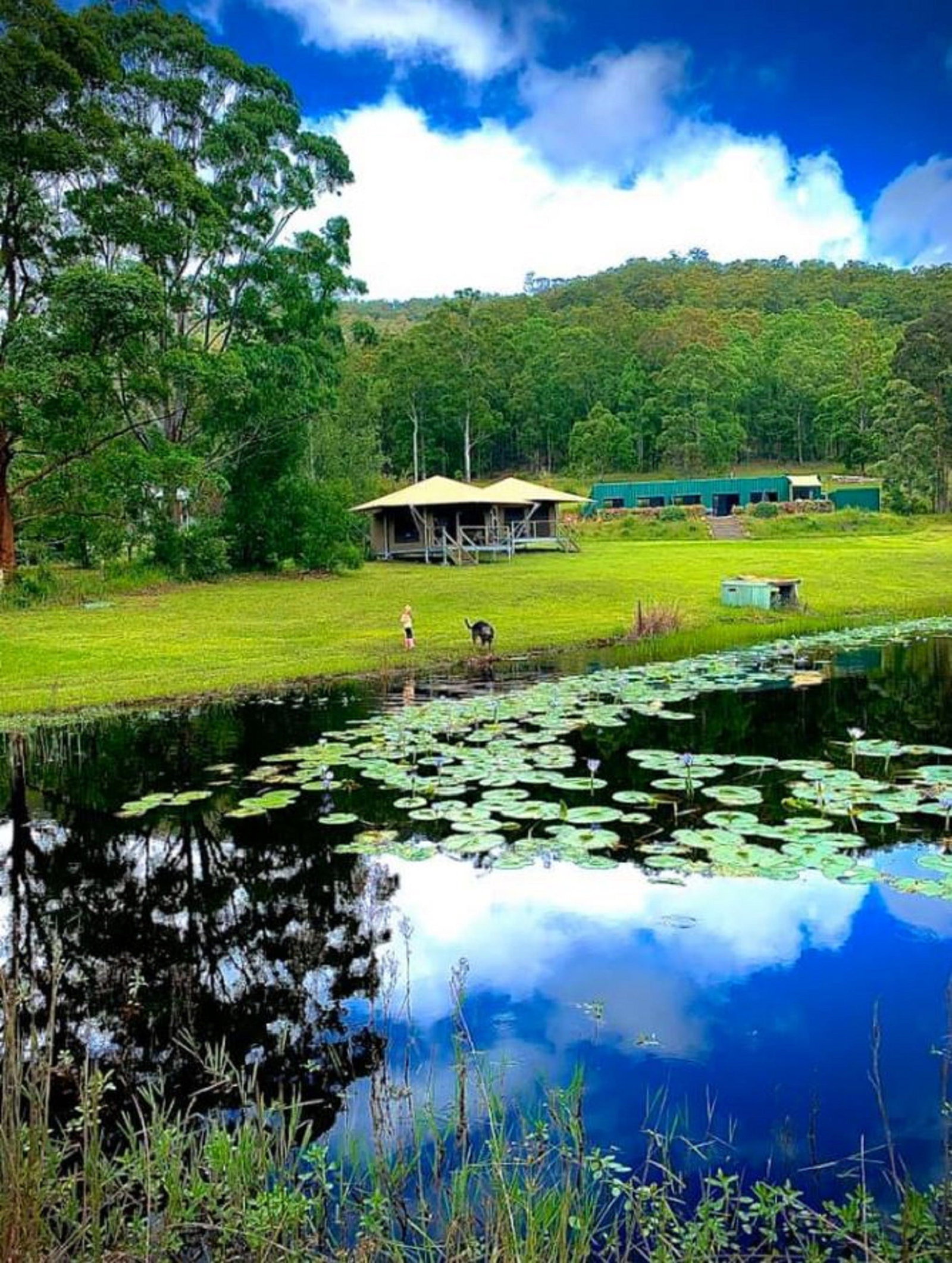 Warranulla NSW Accommodation Gladstone
