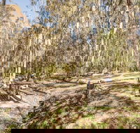 Coree campground - Accommodation Gladstone
