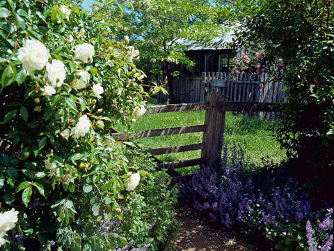 Hamilton's Cottage Collection And Country Gardens - Edwards - Accommodation Gladstone 0