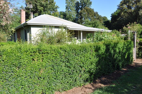 Honeysuckle Cottage - Accommodation Gladstone 1