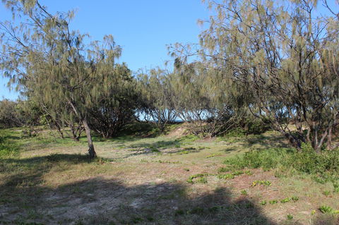 K'gari (Fraser Island) Camping, Great Sandy National Park - Accommodation Gladstone 1