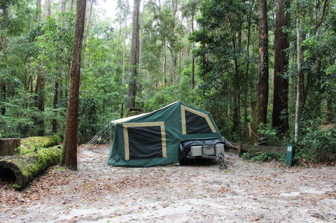 K'gari (Fraser Island) Camping, Great Sandy National Park - Accommodation Gladstone 2