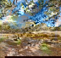 Kings Plains Creek campground - Accommodation Gladstone