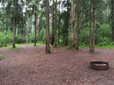 Murphys Glen Campground - Accommodation Gladstone 0