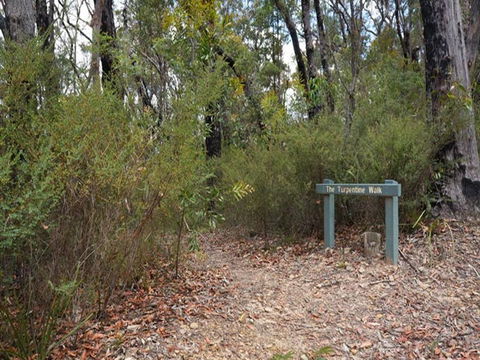 Murphys Glen Campground - Accommodation Gladstone 2