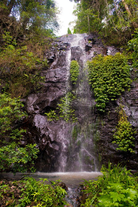 Nimbin Waterfall Retreat - Accommodation Gladstone 0