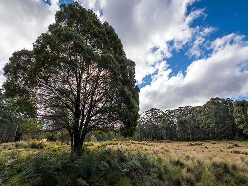 Glen Allen NSW Accommodation Gladstone