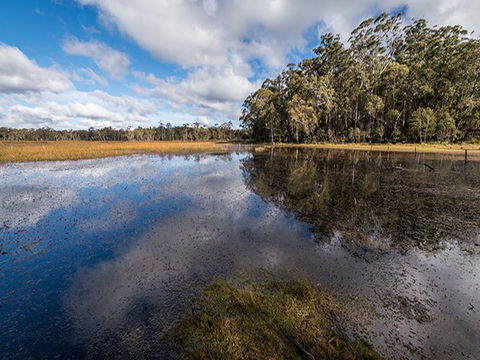 Nunnock Campground - Accommodation Gladstone 2