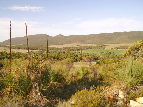 Nyroca Campsite & Group Accommodation - Accommodation Gladstone 0