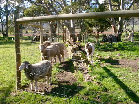 Nyroca Campsite & Group Accommodation - Accommodation Gladstone 2