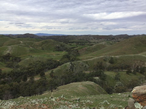 Three Creeks - Accommodation Gladstone 0