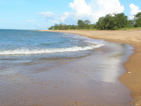 Wagait Beach Holiday Houses - Accommodation Gladstone 0