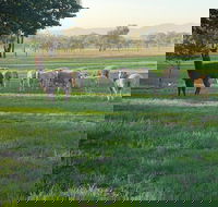 Wallinga Studio Farmstay - Accommodation Gladstone
