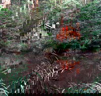 Woodlands Rainforest Retreat - Accommodation Gladstone