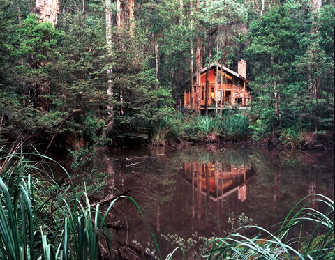 Woodlands Rainforest Retreat - Accommodation Gladstone 0