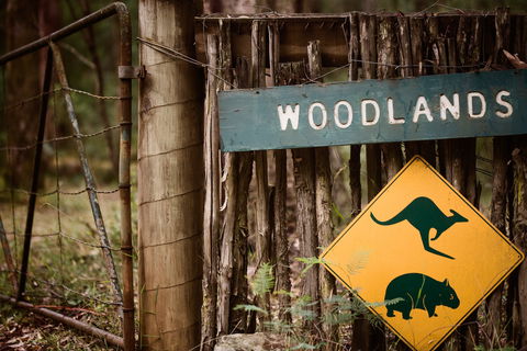 Woodlands Rainforest Retreat - Accommodation Gladstone 1