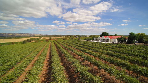 1837 Barossa Luxury Vineyard Cottages - Accommodation Gladstone 0