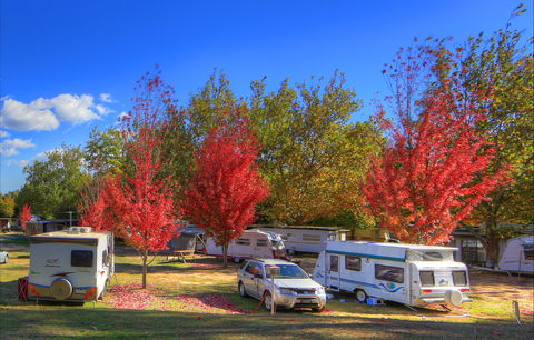 Beechworth Lake Sambell Caravan Park - Accommodation Gladstone 0