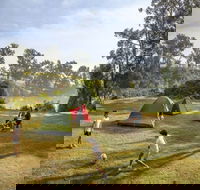 Cattai campground - Accommodation Gladstone