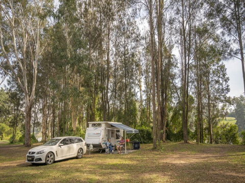 Cattai Campground - Accommodation Gladstone 1