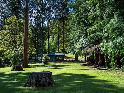 Dingo Tops Campground - Accommodation Gladstone 0