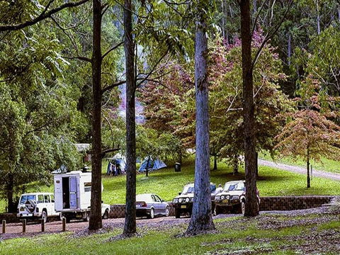 Dingo Tops Campground - Accommodation Gladstone 2