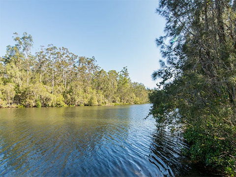 Ferny Creek Campground - Accommodation Gladstone 1