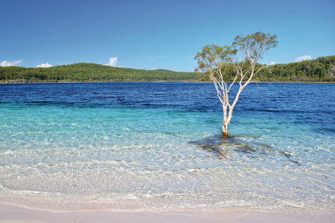 Fraser Island Fishing Units - Accommodation Gladstone 0