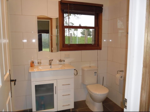 Highland Cattle Farm Stay - Accommodation Gladstone 2