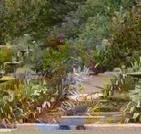 Highland Caravan Park - Accommodation Gladstone