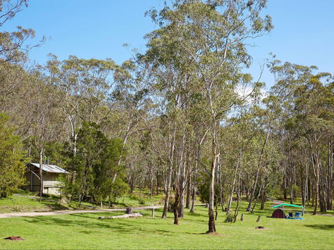 Main Range National Park Camping - Accommodation Gladstone 0