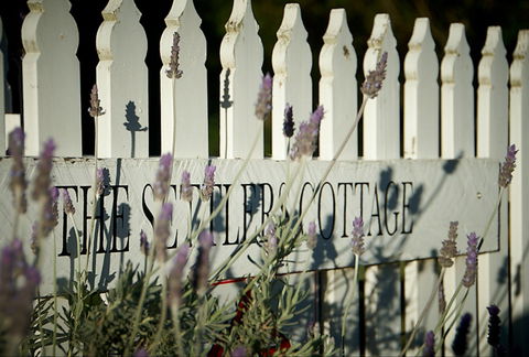 Mayfield Vineyard Cottages - Accommodation Gladstone 0