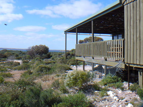 Melaleuca - Eco And Pet Friendly,  Harbor Point Cabins - Accommodation Gladstone 1