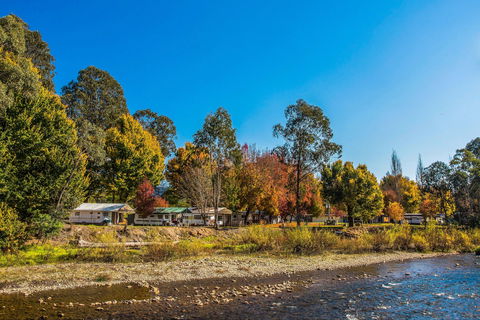 Porepunkah Bridge Holiday Park - Accommodation Gladstone 1