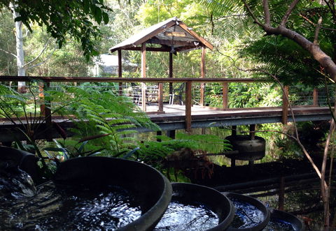 The Oasis And Wellness Centre  At One Mile Beach - Accommodation Gladstone 0