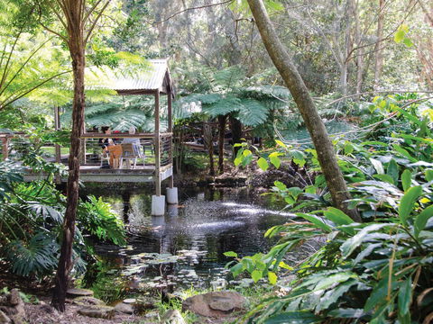 The Oasis And Wellness Centre  At One Mile Beach - Accommodation Gladstone 2