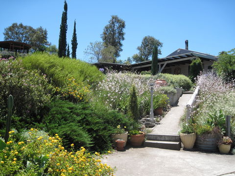 Valley View Cottage Hunter Valley - Accommodation Gladstone 0