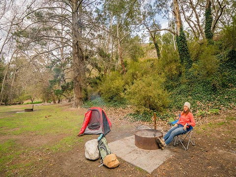 Wombeyan Caves Campground - Accommodation Gladstone 2
