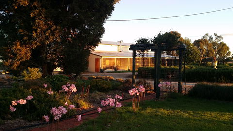Angas Plains Wines Suites - Accommodation Gladstone 1