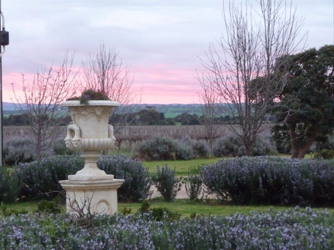 Angas Plains Wines Suites - Accommodation Gladstone 2