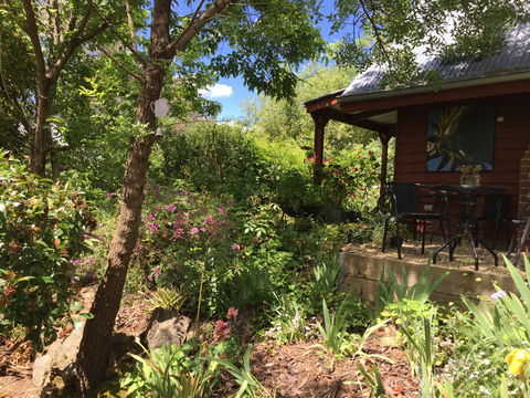 Artscape Cottage Beechworth - Accommodation Gladstone 2