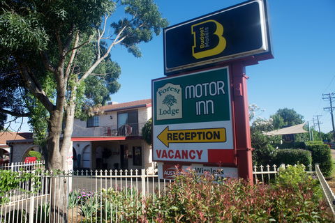 Forest Lodge Motor Inn And Restaurant - Accommodation Gladstone 0