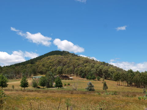 Mad On The Buckland - Accommodation Gladstone 1