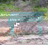 Nal-a-wort Campground - Canunda National Park - Accommodation Gladstone